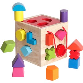 BESTAMTOY Shape Sorter Toy My First Wooden 12 Building Blocks Geometry Learning Matching Sorting Gifts Didactic Classic Toys for Toddlers Baby Kids 31 Years Old Up Fourteen Hole Toy