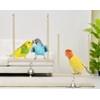 CINY Bird Toy, Natural Swings Made of Solid Wood, Stand