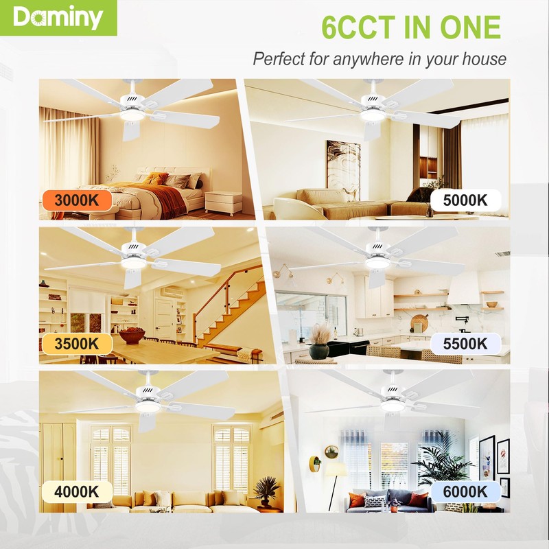 DAMINY 52 inch Ceiling Fan with Light,6CCT,5 Blade,Low Profile Ceiling