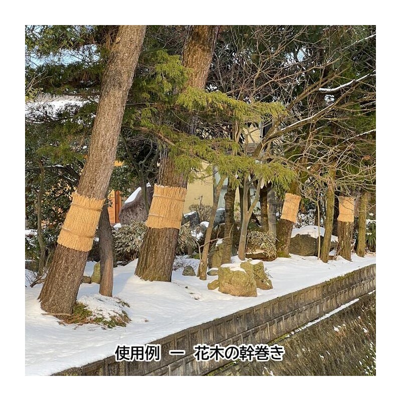 Usui Agriculture and Livestock Products (Manufacture) Straw Mat, Approx. 19.7