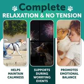 Hemp Calming Chews for Dogs - Dog Calming Chews - Dog Anxiety Relief Treats with Hemp Oil, Turmeric, Valerian, Ginger - Health and Wellness Supplements for Dogs - Hip and Joint Support - 120 Treats