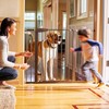 Munchkin Easy Close XL Metal Baby Gate Extension, Bronze, 2.75