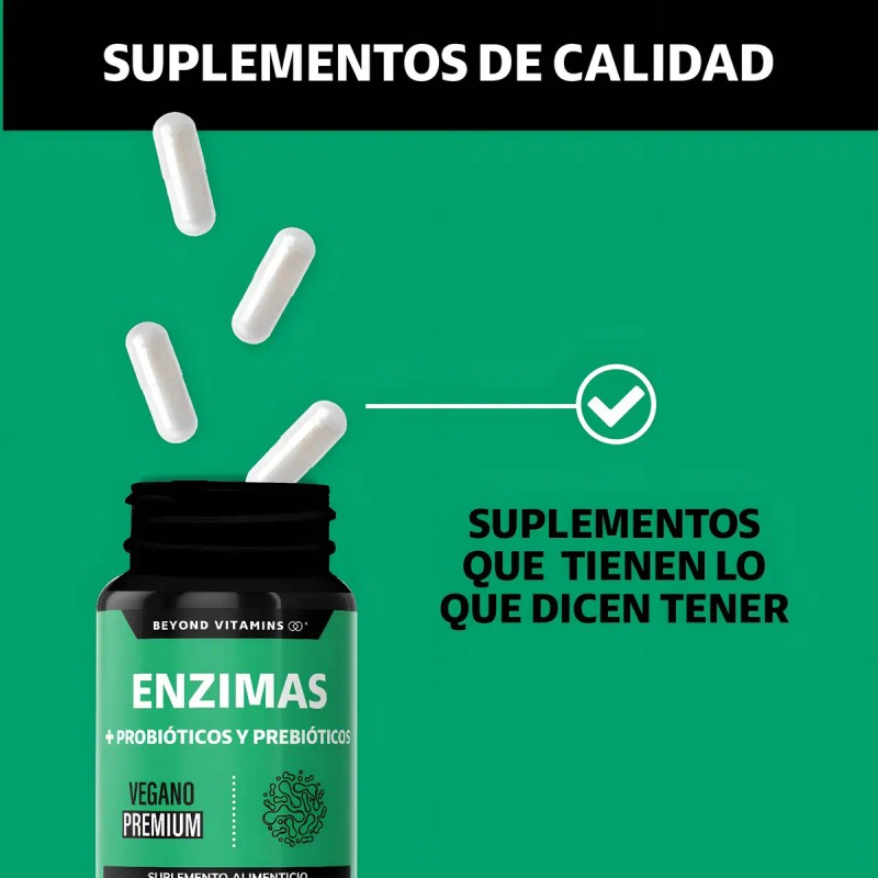 Enzimas Digestivas Probióticos Prebióticos Lactobacillus Acidophilus Lactasa Lipasa Otros Digestive