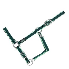 USG Halter with Silver Fittings/ Soft Padded, Pony, Dark Green/ Light Green