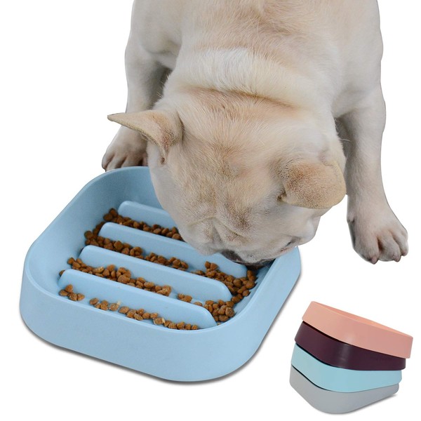 Hifrenchies Healthy Slow Feeding Dog Bowl for French Bulldog -Slow