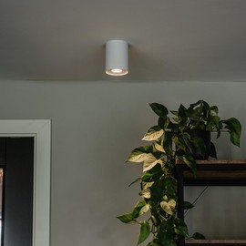 QAZQA - Modern Ceiling Spot I Spotlight I Ceiling Spotlight I Ceiling Spotlight I Spotlight I Lamp I Light White Rotatable and Tiltable - Rondoo up I Living Room I Bedroom - Aluminium Cylinder - LED