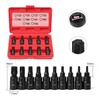 ACEBON Torx Bit Socket Set, 10-Piece T20 - T60 Set