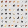 Pack of 50 Watercolour Horse Stickers for Motorcycle, Bicycle, Bumper,