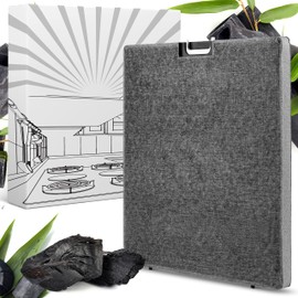 INTESIA Activated Carbon Filter for Miele DKF 25-1