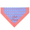 Blueberry Pet 9 Patterns Chic Stylish Triangle Cotton Blend Neckerchief