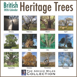 ALLTRADE Calendar 2026 British Heritage Trees 2026 Calendar UK Holidays MADE IN BRITAIN® with 100% Solar Energy on FSC® Paper Eco-Friendly Photos by ARCHIE MILES Supports Woodland Trust Tree Planting