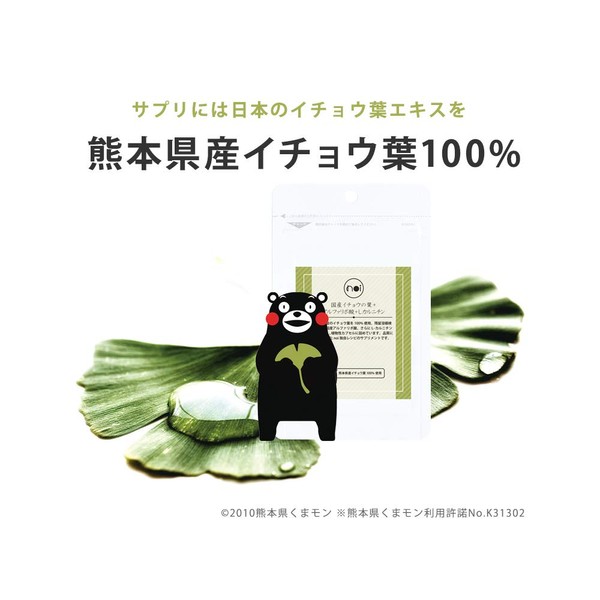 Ginkgo Leaf Extract, Supplement, Noi, Made in Japan, Ginkgo Leaf + α Lipoic Acid + L-Carnitine, 100% Alpha Lipoic Acid from Kumamoto Prefecture, Made in Japan, Pesticide-Free, 1 Bag, Capsule, Recommended for those who want to pay attention to the brand i