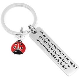AHAETH Ladybug Gifts Keychain Ladybug Jewelry for Women When She Swoops in It Remind Us Not Be Let Worries Cloud A Single Day Keychain Good Luck Inspirational Jewelry for Women Men Ladybug Lover Gift