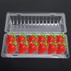 Recipiente para alimentos con bisagras cuadradas de plástico transparente, 25