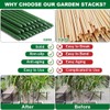 Mininfa Steel Plant Stakes 4 Feet, Plastic Coated Metal Garden