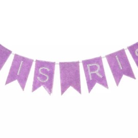 Mini Easter Pennant Banner - Small Garland - 20 Inches (He Is Risen), 5.5'