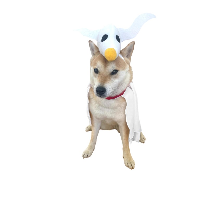 ComfyCamper Disfraz de fantasma para perros pequeños, medianos y grandes,