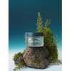 Isntree Kim PDRN Deep Sleep Mask 80ml / 김 PDRN