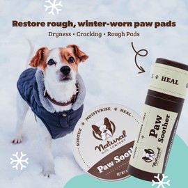 Natural Dog Company Paw Soother Travel Stick 0.15 oz – Pocket-Size Balm with Coconut & Hempseed Oils, Calendula & Vitamin E – Soothes Dry, Cracked Paw Pads – Lick-Safe, Vegan