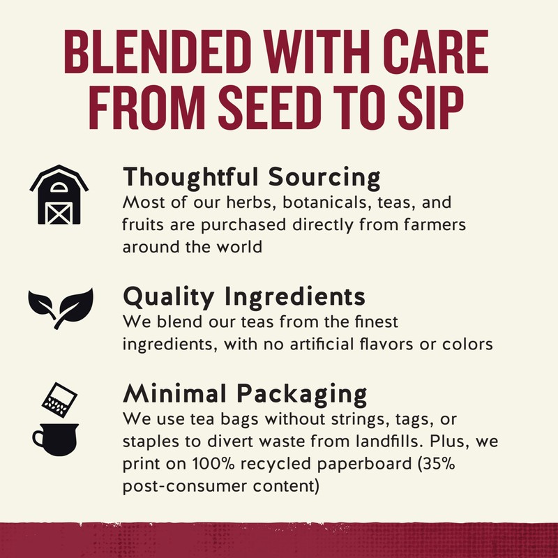 Celestial Seasonings Cinnamon Apple Spice Herbal Tea, Caffeine Free, 20