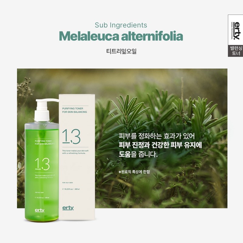 Erti 13 Toner Purifying for Skin Balancing 480ml / 에르띠