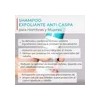 Dandrene® Shampoo Exfoliante Anticaspa