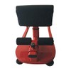 X-Factor Home Gym Sissy Squat Trainer Abs Abdominal Exercise, Leg