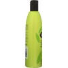 ShiKai Shampoos - Tea Tree 12 fl. oz. (a) -