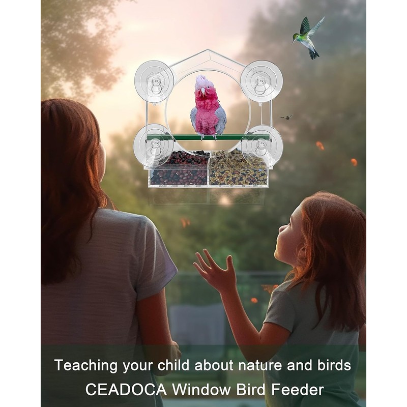 GURECOD Window Bird Feeder with Removable Feeding Tray for Backyard