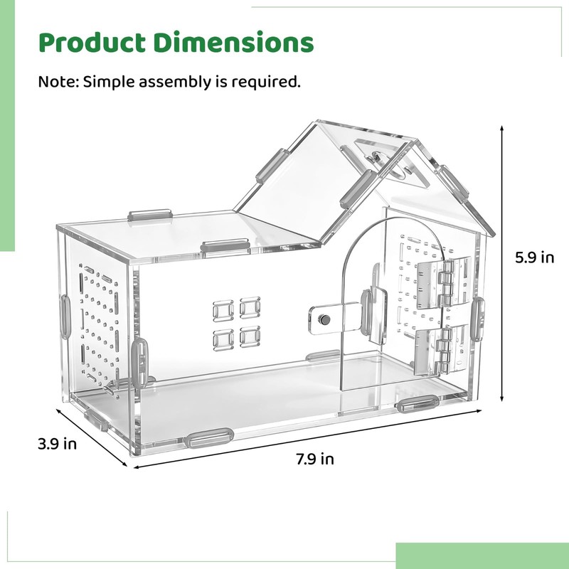 Large Jumping Spider Acrylic Enclosure, Clear Acrylic Spider Habitat Box
