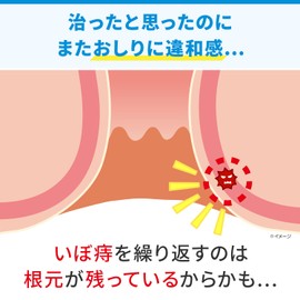 【第2類医薬品】ヘモリンド舌下錠 40錠