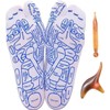1 Pair Reflexology Socks, Massage Socks Cotton Acupressure Socks, Marked