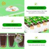 Ukipos Set de 10 Bandejas de Germinación de Semillas, Macetas