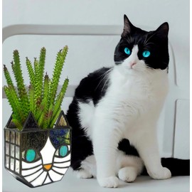 Tiffany Cute Cat Stained Glass Flower Pots,Indoor and Outdoor Plant Displays,Cat Plant Planter,Candle Holder Container Decoration 4.6 x 5.15 x 2.3 inch(11.7 x 13.1 x 5.8 CM)(Without Succulents)Black