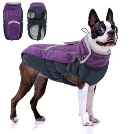 Queenmore Warm Fleece Dog Jacket - Cold Weather Waterproof Snow Jacket with Leash Hole, Reflective Turtleneck - Purple, Medium