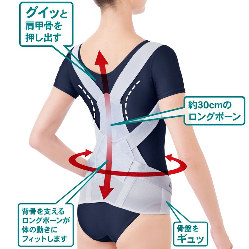 Alphax Posture Supporter, Doctor's Firm Back Belt, M-L Made in