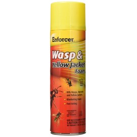 ZEP FWH-16 Yellow Jacket Wasp Control Foam Spray, 16-Ounce