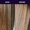 PRAVANA Perfect Blonde Shampoo Morado Matizador Cabello Rubio 976ml