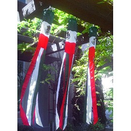 Vista Flags Mexico Windsock Mexican Polyester 60 Inch Outdoor Garden Wind Sock Decoration