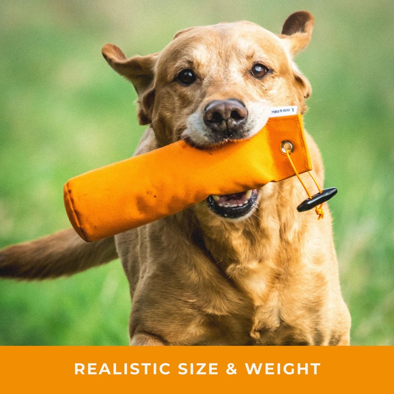 Dog & Field 1/2lb Dog Training Dummies - Orange. Canvas