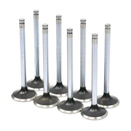 Michigan Motorsports Stock Replacement 1.550" LS Exhaust Valves -Fits Cathedral Port 243 799 706 862 317 241 853 806 Heads LS1 LS2 LS6 LQ4 LQ9 LC9 LMG LM7 (1)