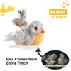 Vealind Three Dogs & A Cat Melody Chaser Pet Interactive