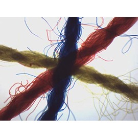 EISCO Crossed, Colored Threads - Prepared Microscope Slide - Wholemount - 75 x 25mm - Introductory Microscopy