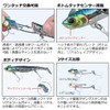 Daiwa Sea Bass/Flounder Lure SB-Rodem TG 30g, Chart H Sardine