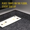 Cricket Traps Indoor (12 Traps) Extra Large Bug Sticky Traps