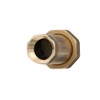 Watts LF7RU2-2 Lead-Free Brass MPT Dual Check Valve, 3/4-Inch, 1-Piece