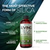 Living Silica Plant Based Collagen Booster | Vegan | Supports