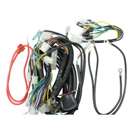 TAOTAO VIP 50CC SCOOTER COMPLETE WIRE HARNESS NEW