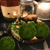 BYHER Natural Green Moss Decorative Ball,Handmade (3.5"-Set of 6)