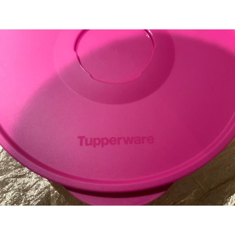 New Tupperware UNIQUE Butterfly & Flowers Theme Ilumina StacknStore Set